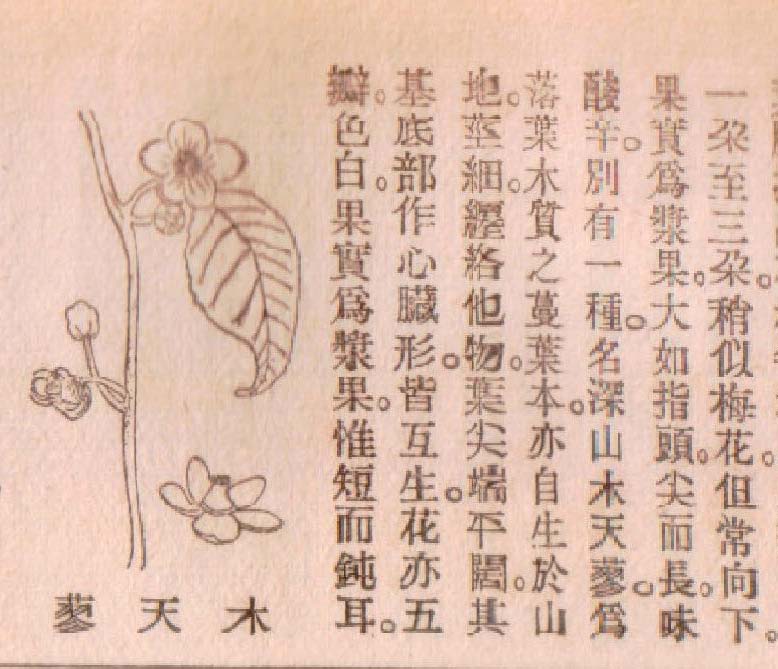 the Zhen Jiu Da Cheng